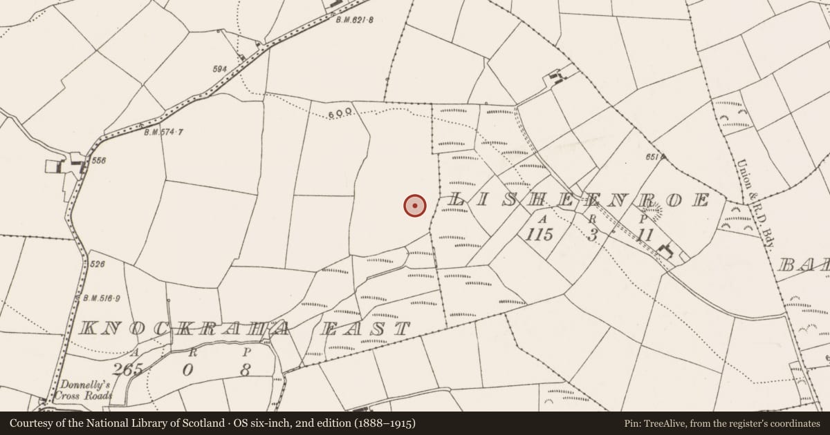 Ordnance Survey six-inch map, 2nd edition (1888–1915) covering the location of Ringfort - rath, Knockraha East, County Cork, with a pin at the register's coordinates