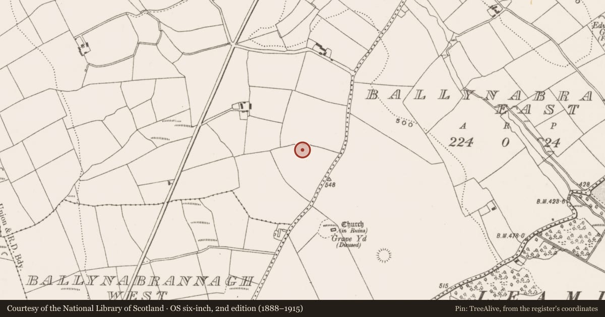 Ordnance Survey six-inch map, 2nd edition (1888–1915) covering the location of Ringfort - rath, Ballyvatta, County Cork, with a pin at the register's coordinates