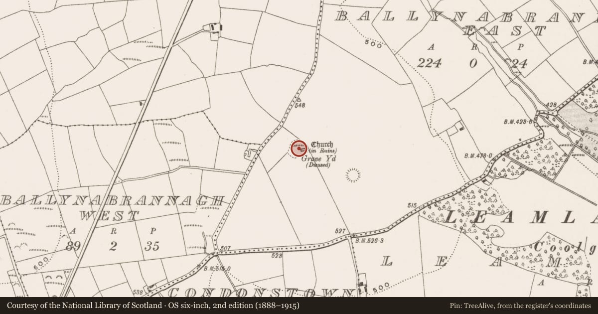 Ordnance Survey six-inch map, 2nd edition (1888–1915) covering the location of Graveyard, Ballynabrannagh East, County Cork, with a pin at the register's coordinates