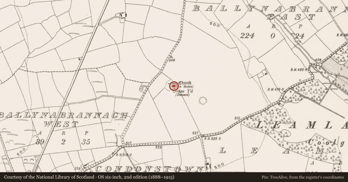 Ordnance Survey six-inch map, 2nd edition (1888–1915) covering the location of Church, Ballynabrannagh East, County Cork, with a pin at the register's coordinates
