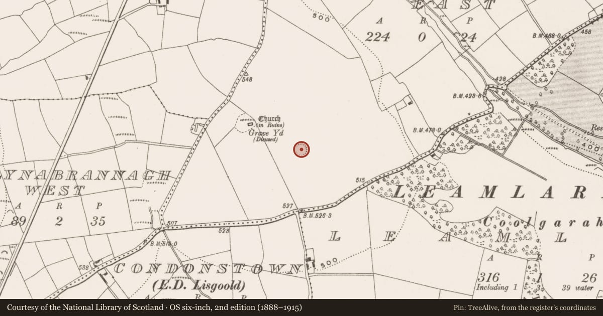Ordnance Survey six-inch map, 2nd edition (1888–1915) covering the location of Ringfort - rath, Ballynabrannagh East, County Cork, with a pin at the register's coordinates