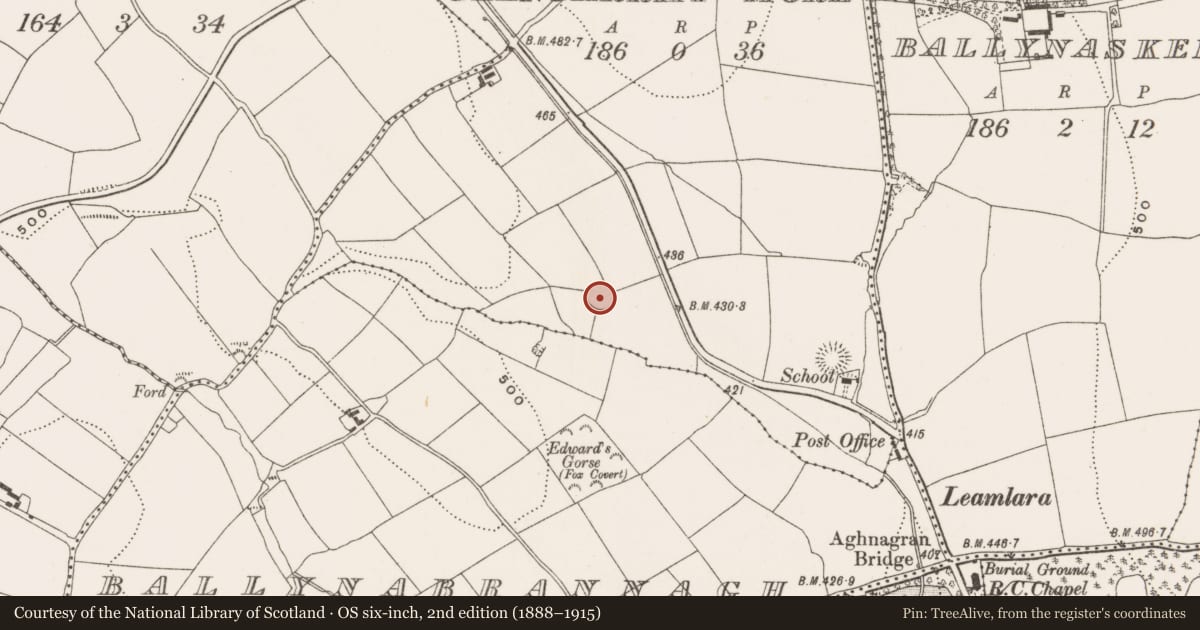 Ordnance Survey six-inch map, 2nd edition (1888–1915) covering the location of Ringfort - rath, Glengarriff More, County Cork, with a pin at the register's coordinates