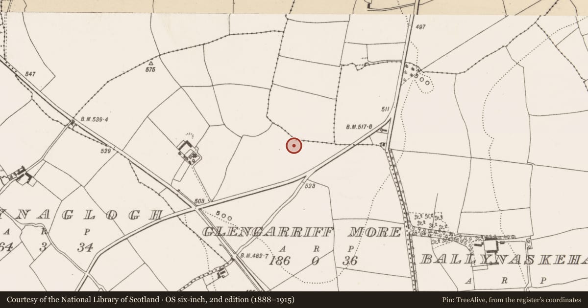 Ordnance Survey six-inch map, 2nd edition (1888–1915) covering the location of Ringfort - rath, Glengarriff More, County Cork, with a pin at the register's coordinates