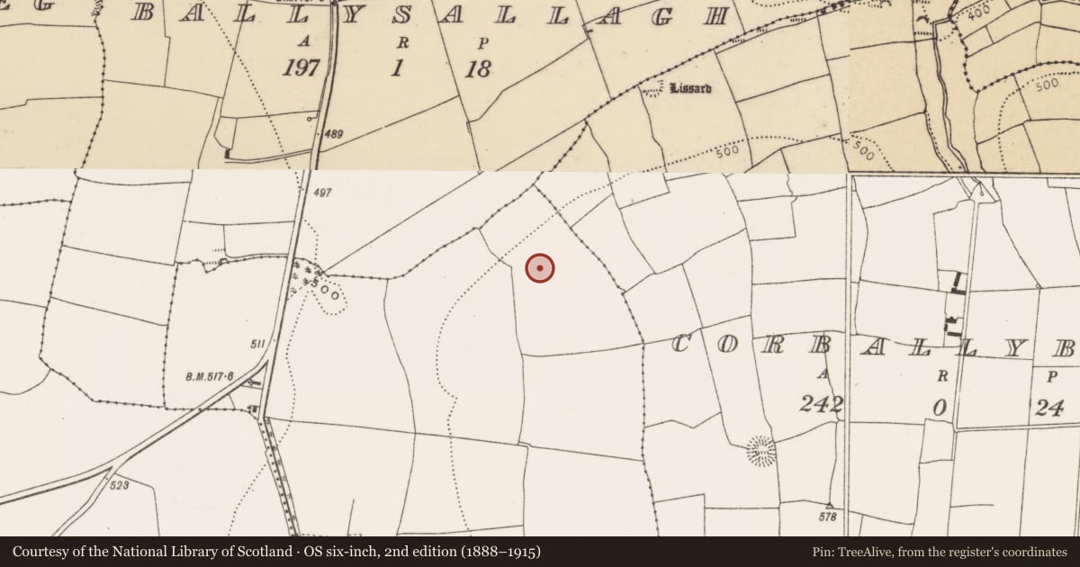 Ordnance Survey six-inch map, 2nd edition (1888–1915) covering the location of Ringfort - rath, Ballynaskeha, County Cork, with a pin at the register's coordinates