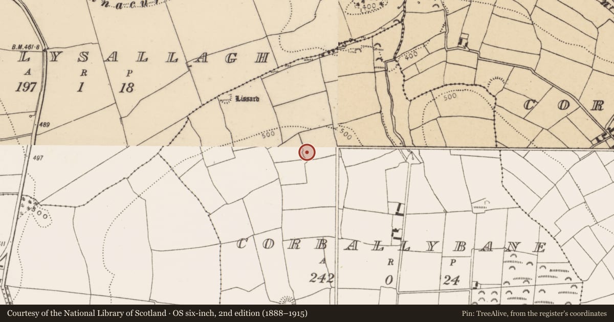 Ordnance Survey six-inch map, 2nd edition (1888–1915) covering the location of Ringfort - rath, Corballybane, County Cork, with a pin at the register's coordinates