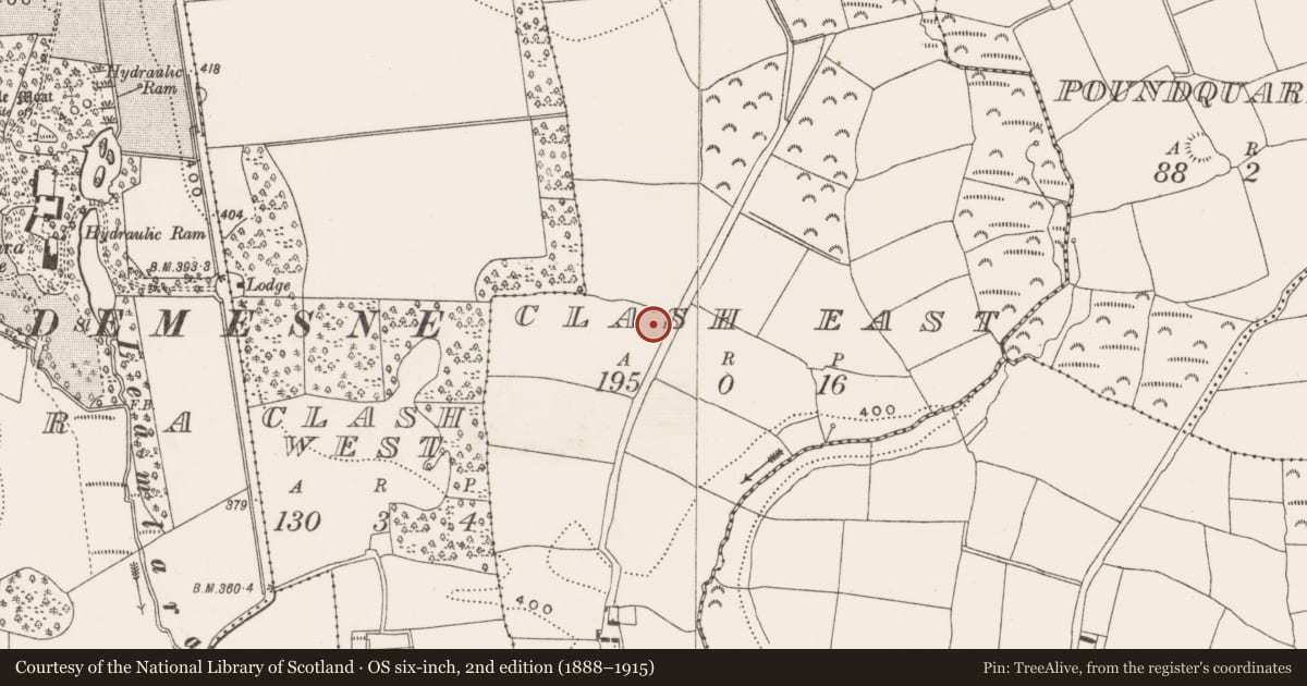 Ordnance Survey six-inch map, 2nd edition (1888–1915) covering the location of Ringfort - rath, Clash East (Barrymore By., Lisgoold Par.), County Cork, with a pin at the register's coordinates