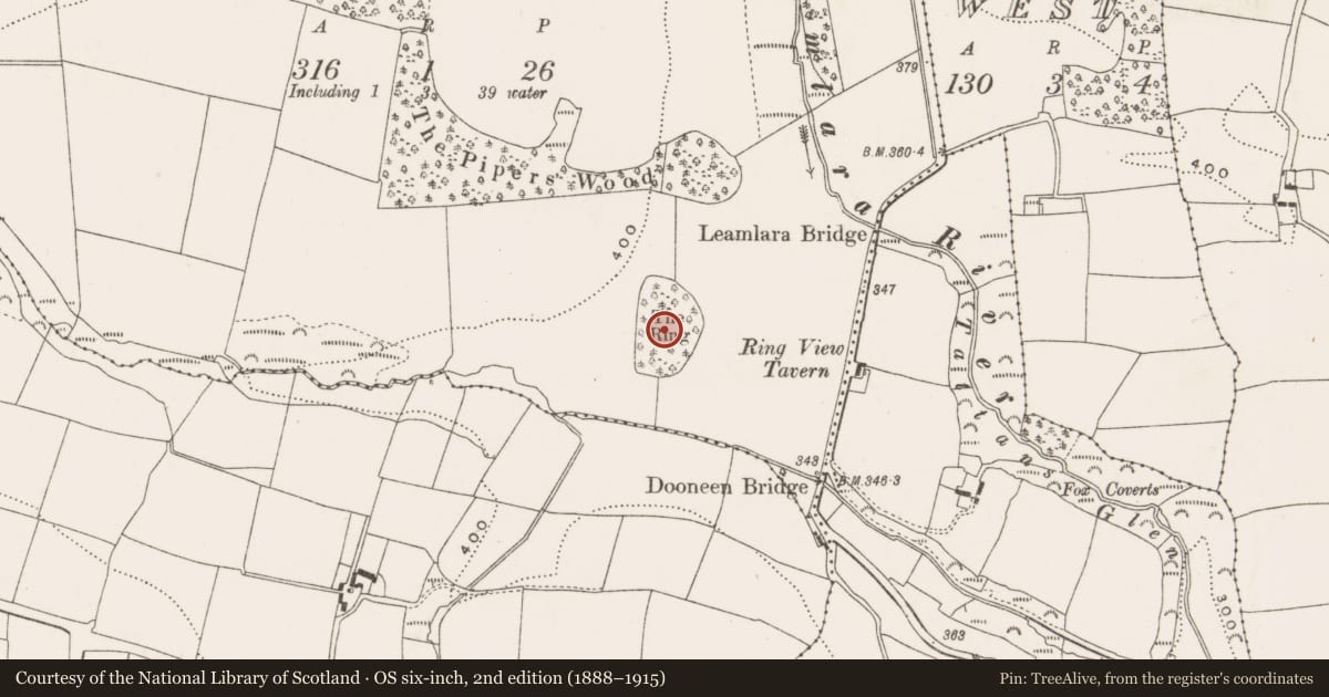 Ordnance Survey six-inch map, 2nd edition (1888–1915) covering the location of Designed landscape - tree-ring, Leamlara, County Cork, with a pin at the register's coordinates