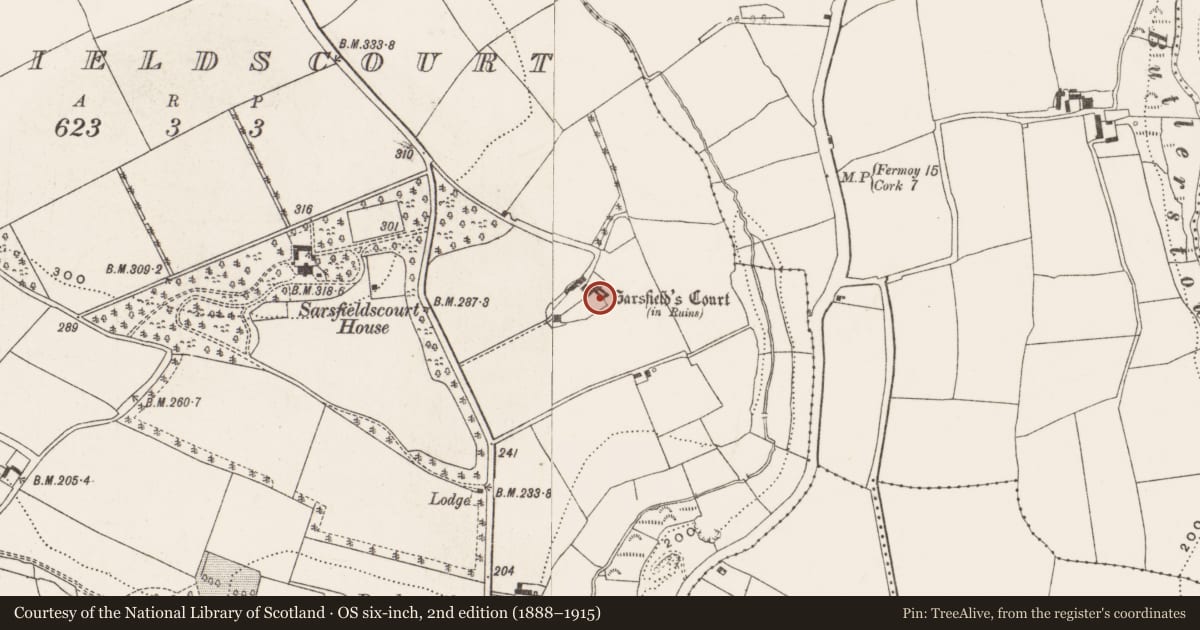 Ordnance Survey six-inch map, 2nd edition (1888–1915) covering the location of Castle - unclassified, Sarsfieldscourt, County Cork, with a pin at the register's coordinates