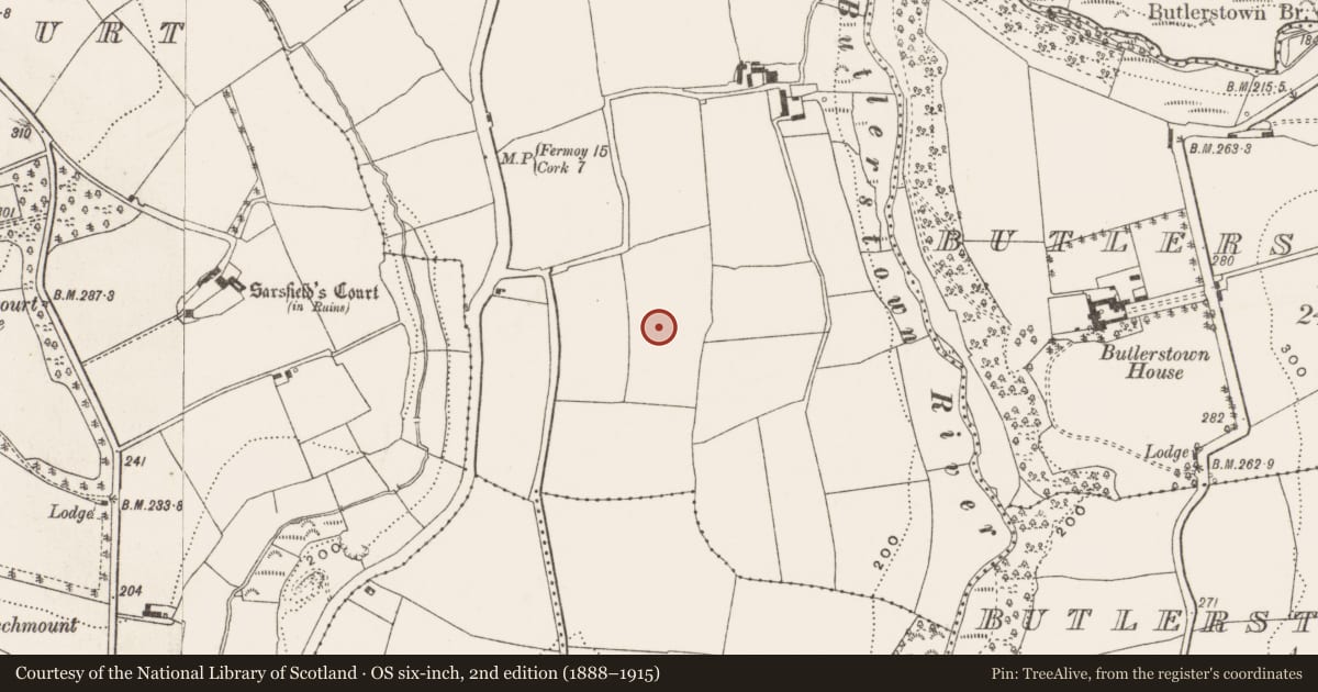 Ordnance Survey six-inch map, 2nd edition (1888–1915) covering the location of Burial ground, Killydonoghoe, County Cork, with a pin at the register's coordinates