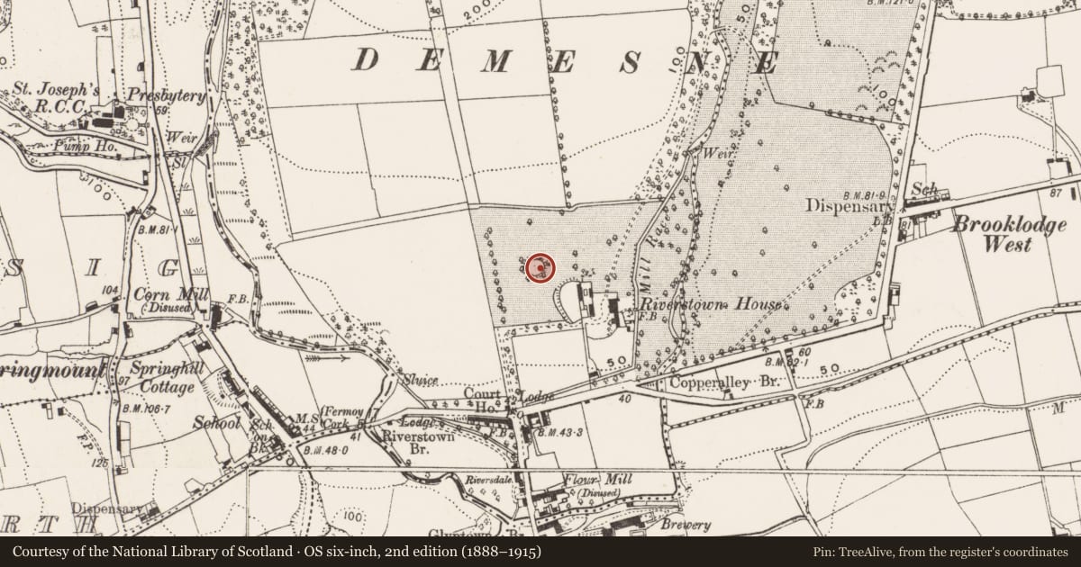 Ordnance Survey six-inch map, 2nd edition (1888–1915) covering the location of Designed landscape - ornamental lake, Riverstown, County Cork, with a pin at the register's coordinates