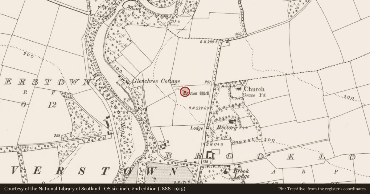 Ordnance Survey six-inch map, 2nd edition (1888–1915) covering the location of Ritual site - holy well, Brooklodge, County Cork, with a pin at the register's coordinates