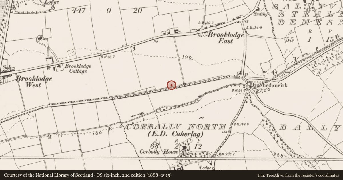 Ordnance Survey six-inch map, 2nd edition (1888–1915) covering the location of Castle - unclassified, Brooklodge, County Cork, with a pin at the register's coordinates