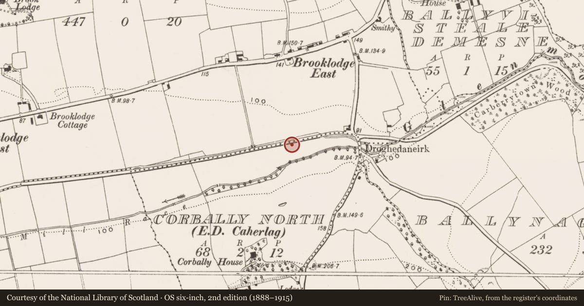 Ordnance Survey six-inch map, 2nd edition (1888–1915) covering the location of Fish-pond, Brooklodge, County Cork, with a pin at the register's coordinates