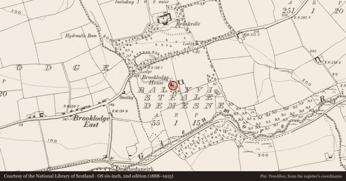 Ordnance Survey six-inch map, 2nd edition (1888–1915) covering the location of Country house, Ballyvisteale Demesne, County Cork, with a pin at the register's coordinates