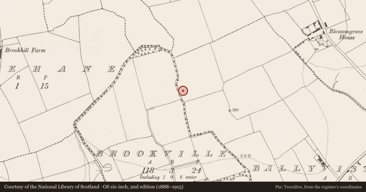 Ordnance Survey six-inch map, 2nd edition (1888–1915) covering the location of Souterrain, Ballyvisteale, County Cork, with a pin at the register's coordinates