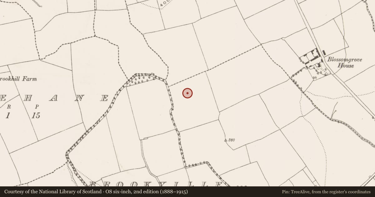 Ordnance Survey six-inch map, 2nd edition (1888–1915) covering the location of Standing stone, Ballyvisteale, County Cork, with a pin at the register's coordinates