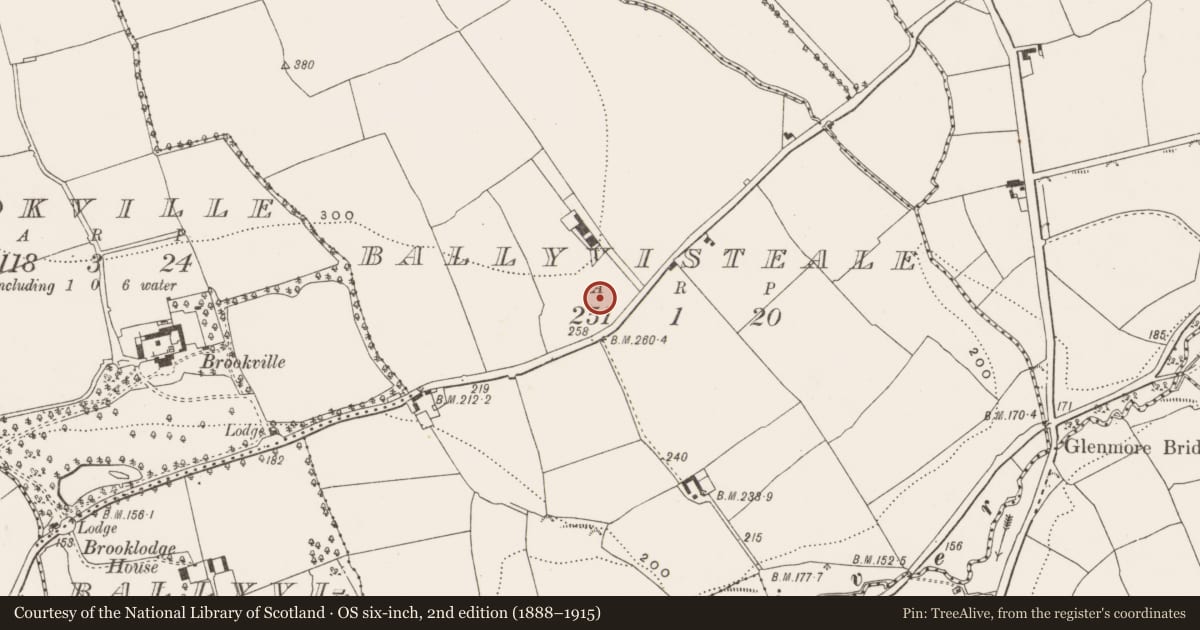 Ordnance Survey six-inch map, 2nd edition (1888–1915) covering the location of Enclosure, Ballyvisteale, County Cork, with a pin at the register's coordinates