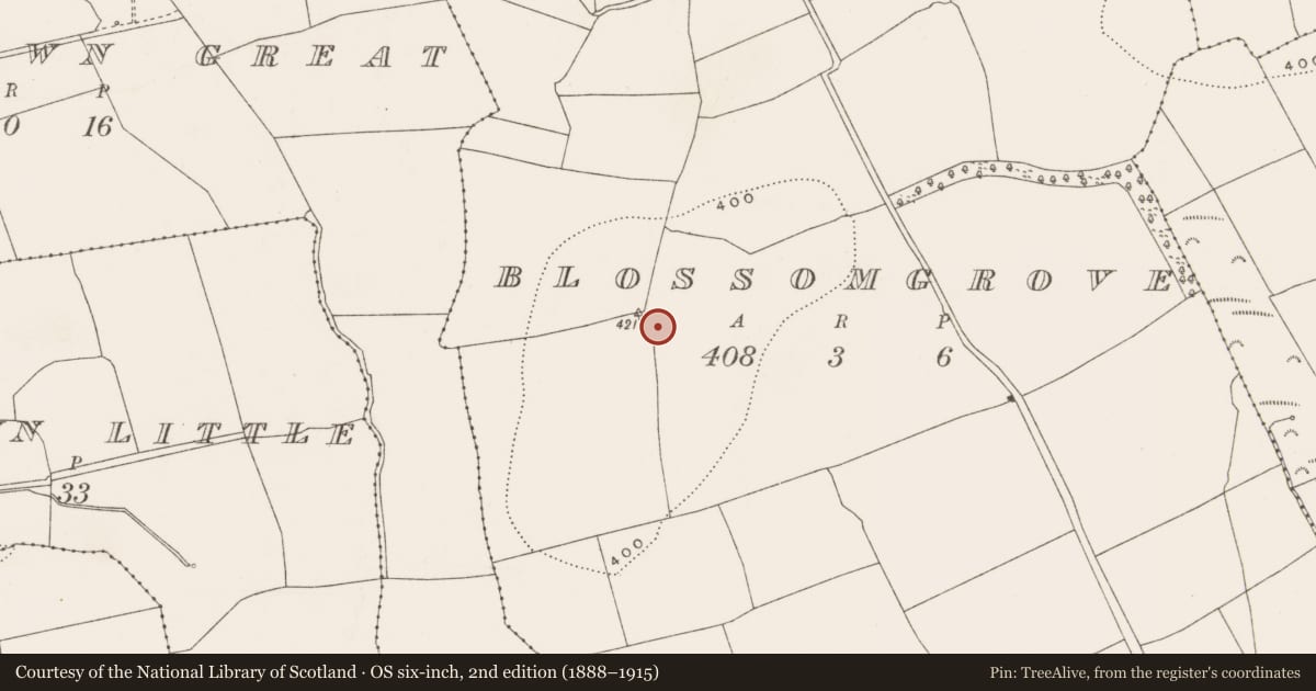 Ordnance Survey six-inch map, 2nd edition (1888–1915) covering the location of Ringfort - rath, Blossomgrove, County Cork, with a pin at the register's coordinates
