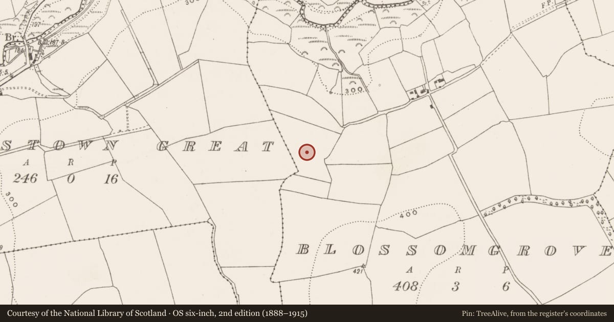Ordnance Survey six-inch map, 2nd edition (1888–1915) covering the location of Ringfort - rath, Blossomgrove, County Cork, with a pin at the register's coordinates