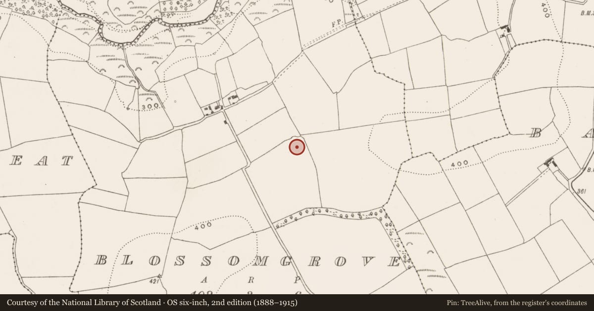 Ordnance Survey six-inch map, 2nd edition (1888–1915) covering the location of Ringfort - rath, Blossomgrove, County Cork, with a pin at the register's coordinates