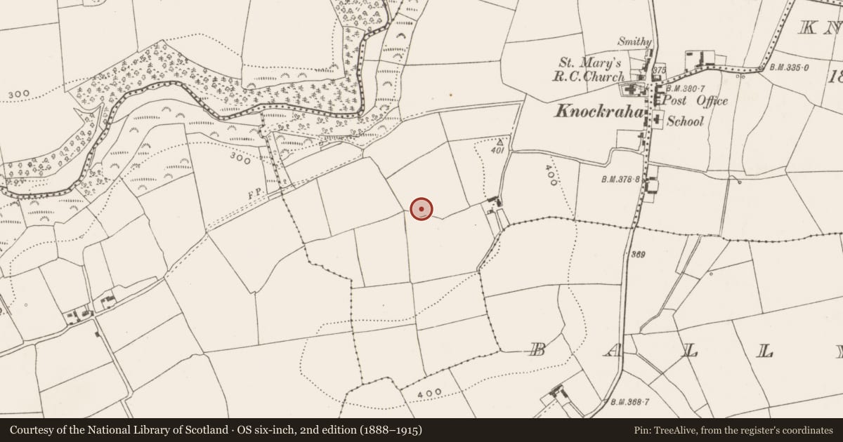 Ordnance Survey six-inch map, 2nd edition (1888–1915) covering the location of Ringfort - rath, Gogganstown, County Cork, with a pin at the register's coordinates