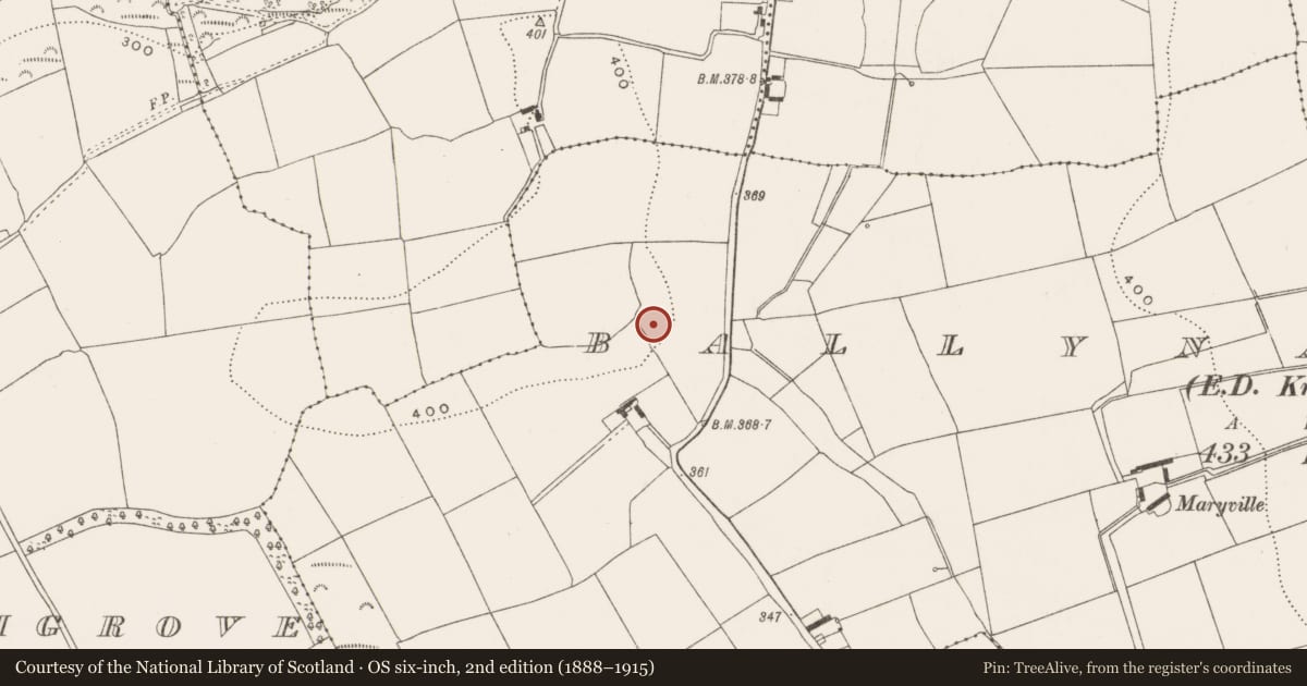 Ordnance Survey six-inch map, 2nd edition (1888–1915) covering the location of Ringfort - rath, Ballynanelagh (Barrymore By., Kilquane Par.), County Cork, with a pin at the register's coordinates