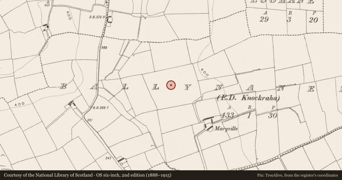Ordnance Survey six-inch map, 2nd edition (1888–1915) covering the location of Standing stone, Ballynanelagh (Barrymore By., Kilquane Par.), County Cork, with a pin at the register's coordinates