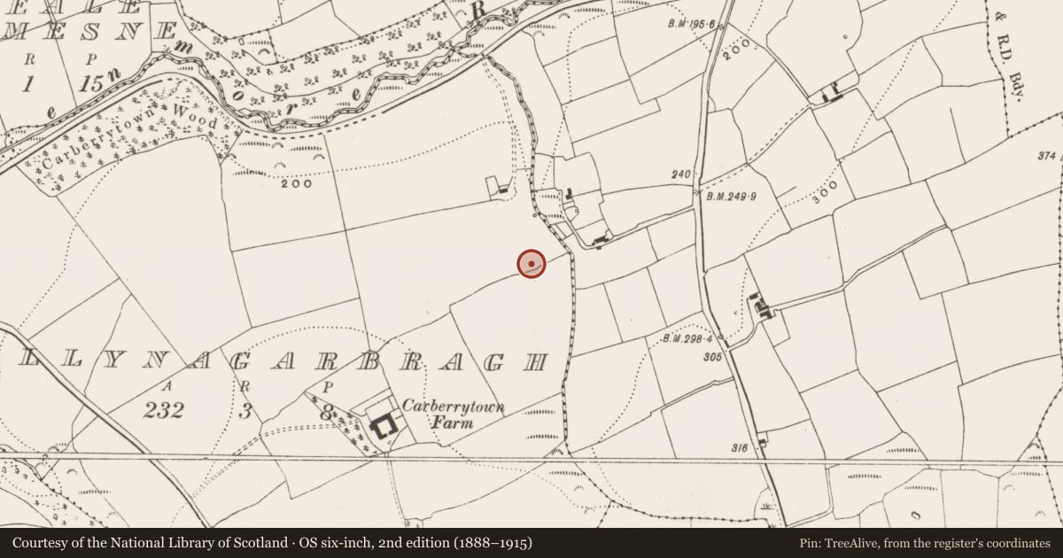 Ordnance Survey six-inch map, 2nd edition (1888–1915) covering the location of Ringfort - rath, Ballynagarbragh, County Cork, with a pin at the register's coordinates