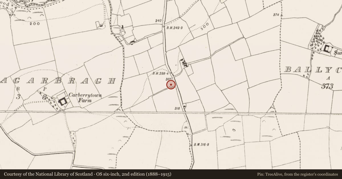 Ordnance Survey six-inch map, 2nd edition (1888–1915) covering the location of Ringfort - rath, Lackenroe, County Cork, with a pin at the register's coordinates