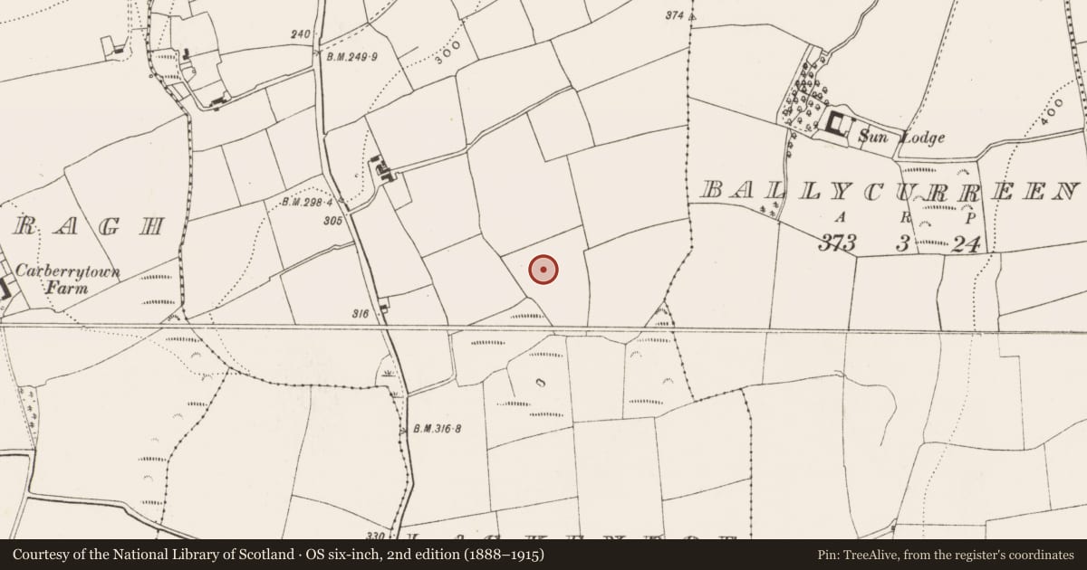 Ordnance Survey six-inch map, 2nd edition (1888–1915) covering the location of Ringfort - rath, Lackenroe, County Cork, with a pin at the register's coordinates
