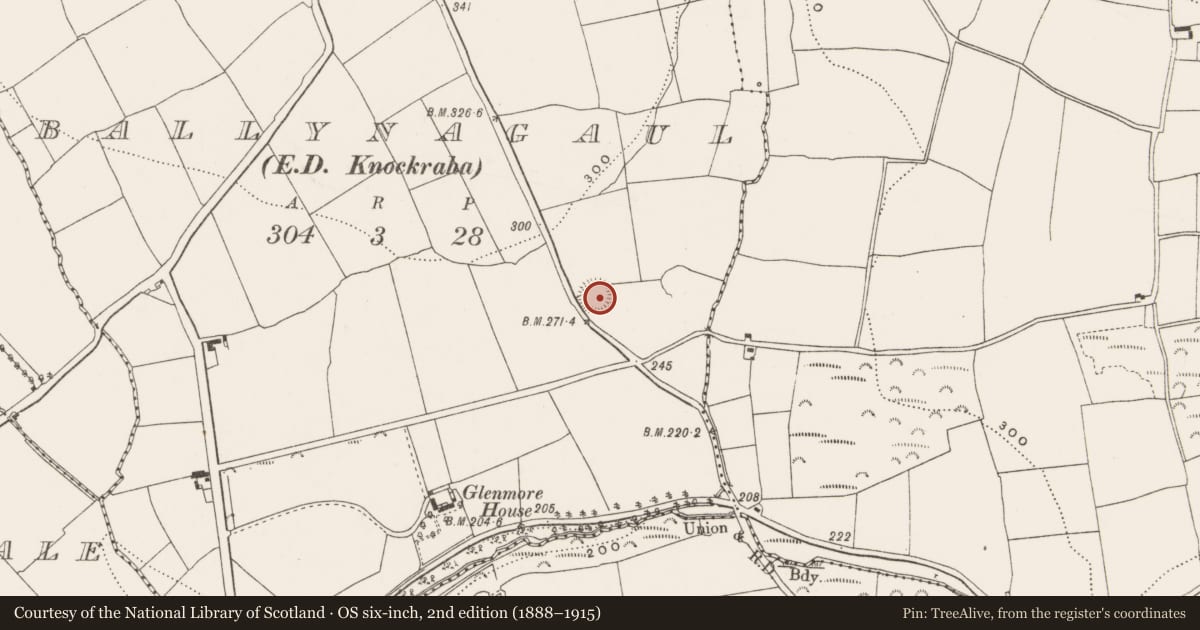 Ordnance Survey six-inch map, 2nd edition (1888–1915) covering the location of Ringfort - rath, Ballynagaul (Barrymore By., Kilquane Par.), County Cork, with a pin at the register's coordinates