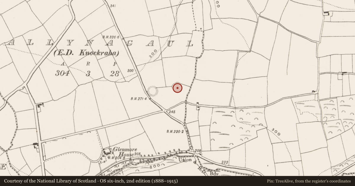Ordnance Survey six-inch map, 2nd edition (1888–1915) covering the location of Ringfort - rath, Ballynagaul (Barrymore By., Kilquane Par.), County Cork, with a pin at the register's coordinates