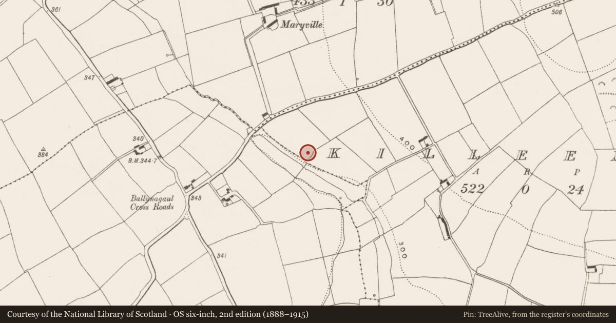 Ordnance Survey six-inch map, 2nd edition (1888–1915) covering the location of Ringfort - rath, Killeena, County Cork, with a pin at the register's coordinates