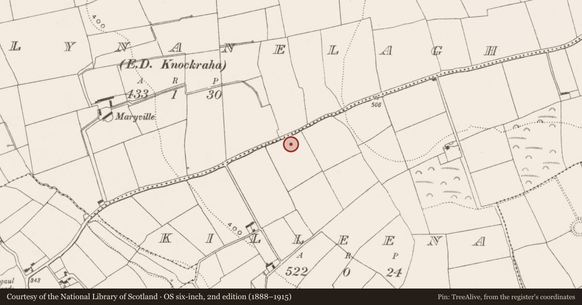 Ordnance Survey six-inch map, 2nd edition (1888–1915) covering the location of Ringfort - rath, Killeena, County Cork, with a pin at the register's coordinates