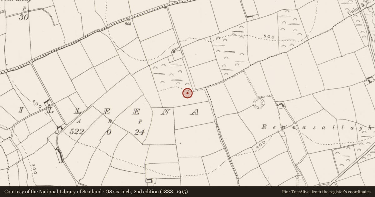 Ordnance Survey six-inch map, 2nd edition (1888–1915) covering the location of Enclosure, Killeena, County Cork, with a pin at the register's coordinates