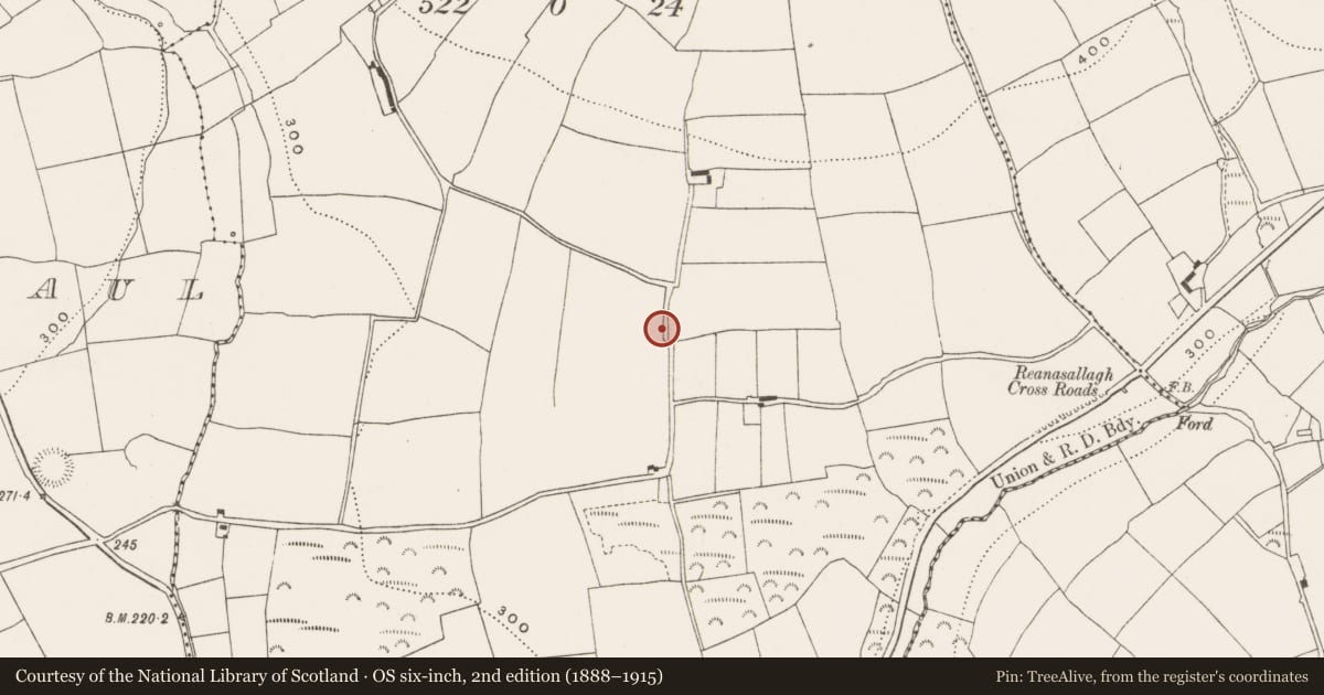 Ordnance Survey six-inch map, 2nd edition (1888–1915) covering the location of Bullaun stone, Killeena, County Cork, with a pin at the register's coordinates