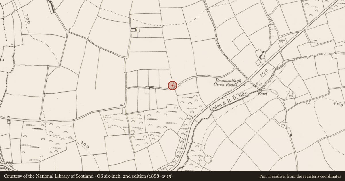 Ordnance Survey six-inch map, 2nd edition (1888–1915) covering the location of Ringfort - rath, Killeena, County Cork, with a pin at the register's coordinates
