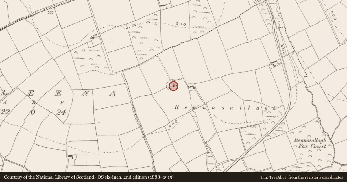Ordnance Survey six-inch map, 2nd edition (1888–1915) covering the location of Ringfort - rath, Ballinbrittig, County Cork, with a pin at the register's coordinates