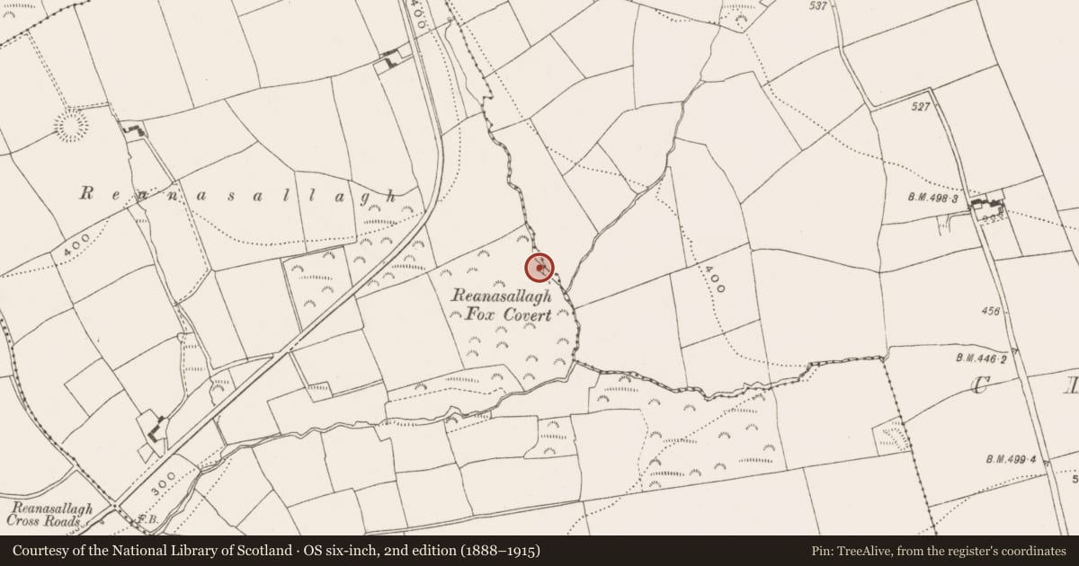Ordnance Survey six-inch map, 2nd edition (1888–1915) covering the location of Ritual site - holy well, Ballinbrittig, County Cork, with a pin at the register's coordinates