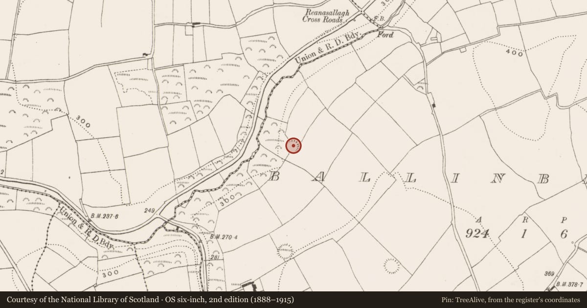 Ordnance Survey six-inch map, 2nd edition (1888–1915) covering the location of Ringfort - rath, Ballinbrittig, County Cork, with a pin at the register's coordinates