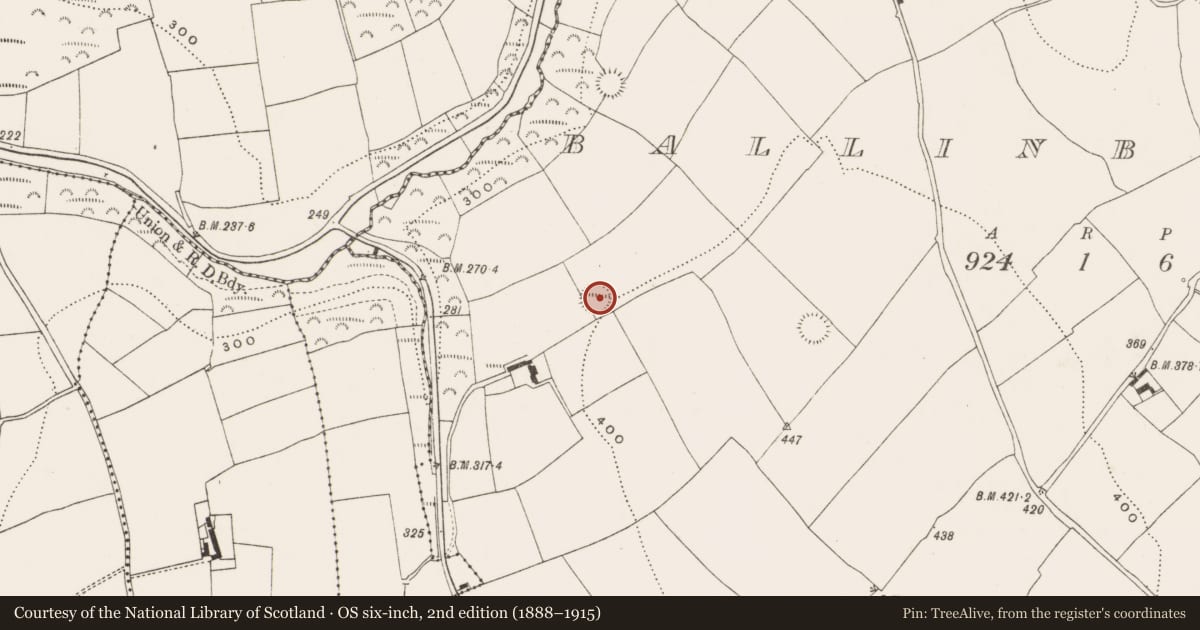 Ordnance Survey six-inch map, 2nd edition (1888–1915) covering the location of Ringfort - rath, Ballinbrittig, County Cork, with a pin at the register's coordinates