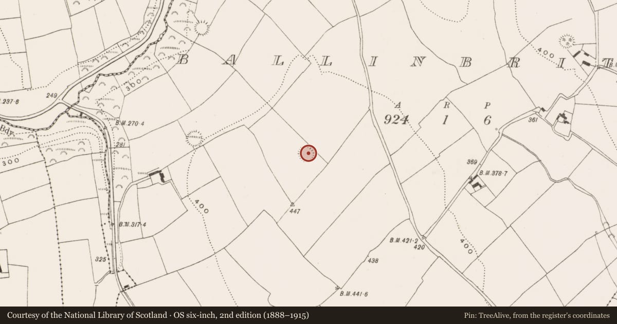 Ordnance Survey six-inch map, 2nd edition (1888–1915) covering the location of Ringfort - rath, Ballinbrittig, County Cork, with a pin at the register's coordinates