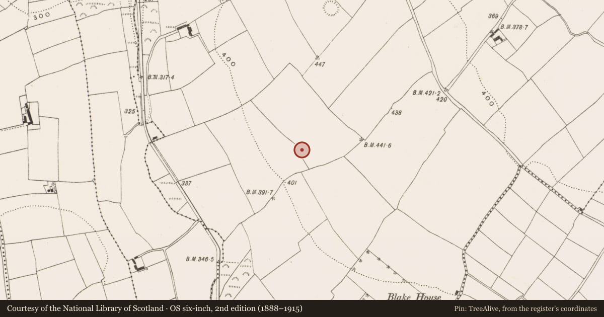 Ordnance Survey six-inch map, 2nd edition (1888–1915) covering the location of Ringfort - rath, Ballinbrittig, County Cork, with a pin at the register's coordinates