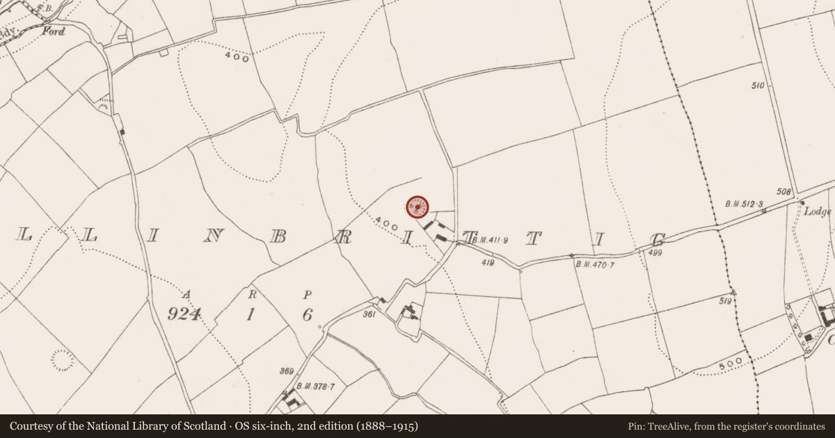 Ordnance Survey six-inch map, 2nd edition (1888–1915) covering the location of Ringfort - rath, Ballinbrittig, County Cork, with a pin at the register's coordinates