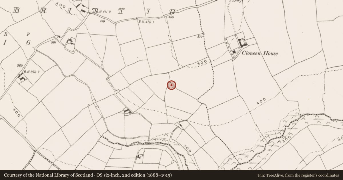 Ordnance Survey six-inch map, 2nd edition (1888–1915) covering the location of Ringfort - rath, Ballinbrittig, County Cork, with a pin at the register's coordinates