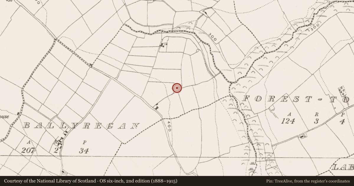 Ordnance Survey six-inch map, 2nd edition (1888–1915) covering the location of Ringfort - rath, Ballyregan, County Cork, with a pin at the register's coordinates