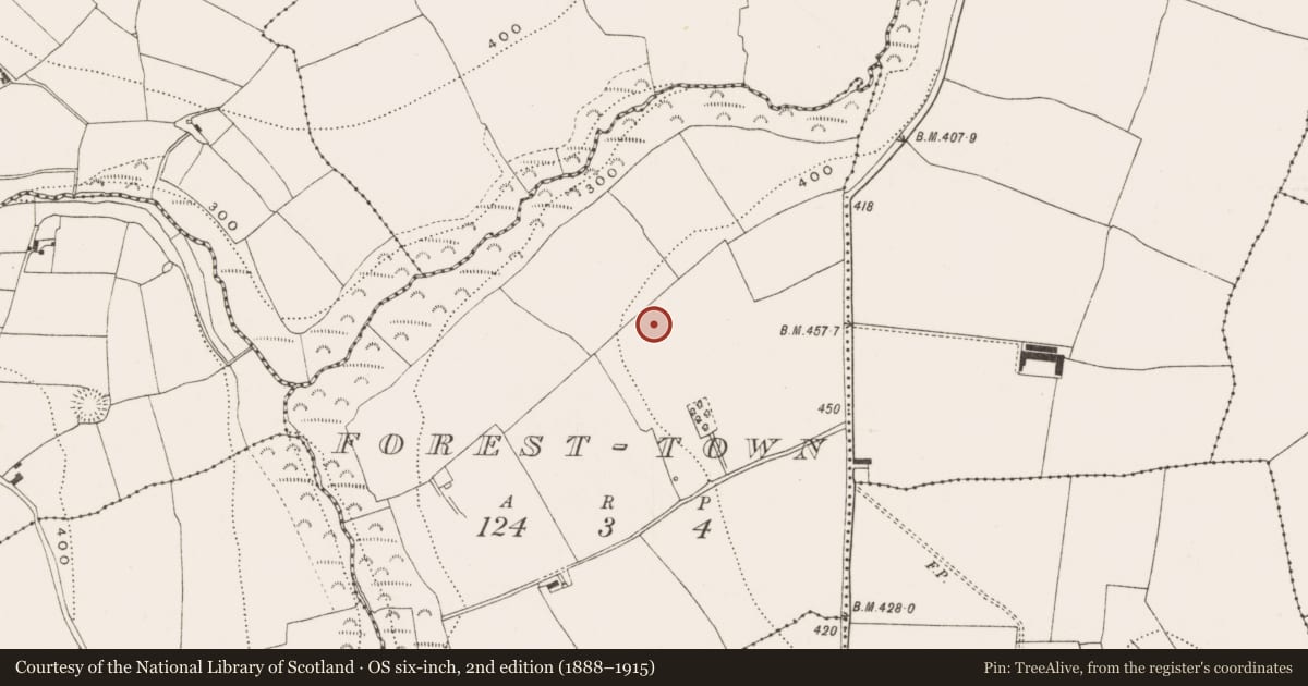 Ordnance Survey six-inch map, 2nd edition (1888–1915) covering the location of Ringfort - rath, Forest-Town, County Cork, with a pin at the register's coordinates