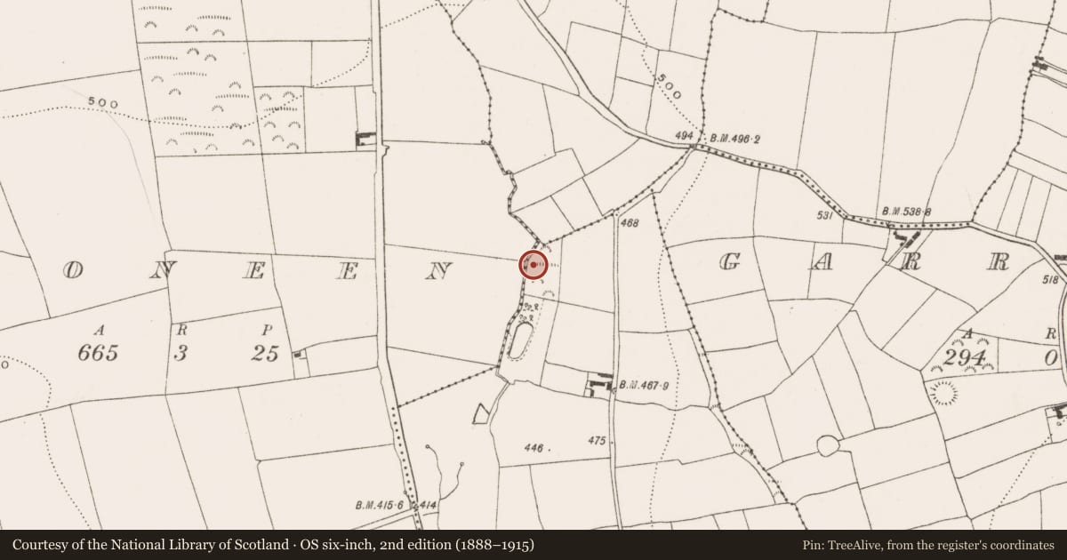 Ordnance Survey six-inch map, 2nd edition (1888–1915) covering the location of Fulacht fia, Tibbotstown, County Cork, with a pin at the register's coordinates