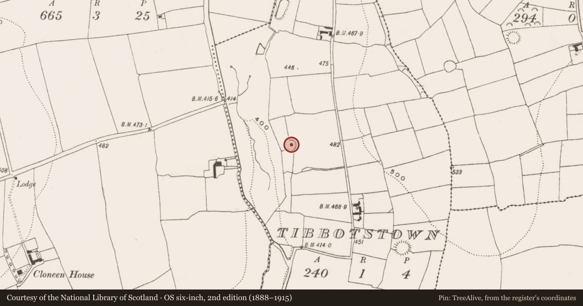 Ordnance Survey six-inch map, 2nd edition (1888–1915) covering the location of Ringfort - rath, Tibbotstown, County Cork, with a pin at the register's coordinates