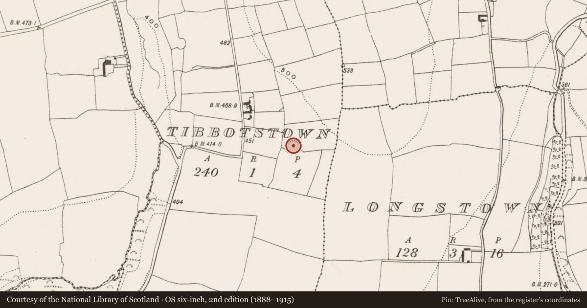 Ordnance Survey six-inch map, 2nd edition (1888–1915) covering the location of Ringfort - rath, Tibbotstown, County Cork, with a pin at the register's coordinates